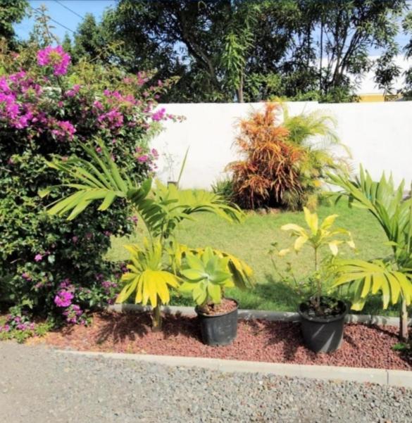 Jolie Maison T3 A St Pierre, 2 Chambres Avec Sdb, Grande Varangue, Jardin Saint Pierre Exterior foto